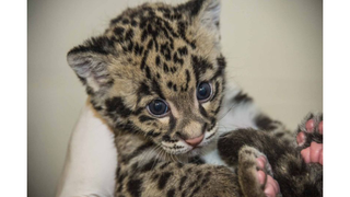 TGIF: Show Us Your Squee!